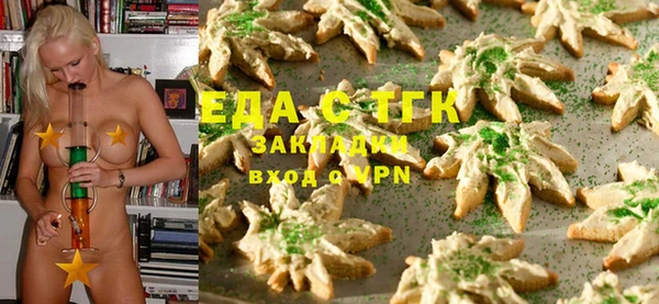 хмурый Алексин