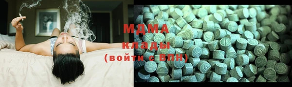 хмурый Алексин