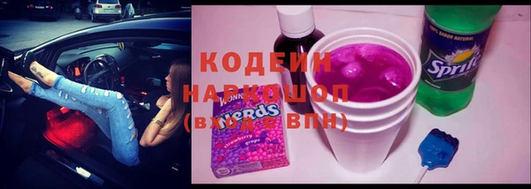 хмурый Алексин