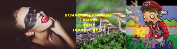 сатива Алексеевка