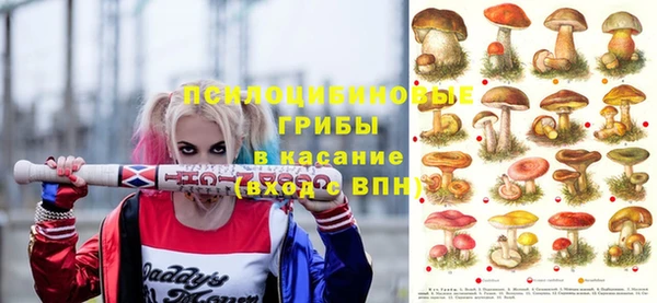 сатива Алексеевка