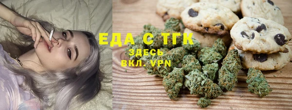 хмурый Алексин