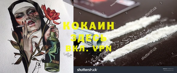 хмурый Алексин