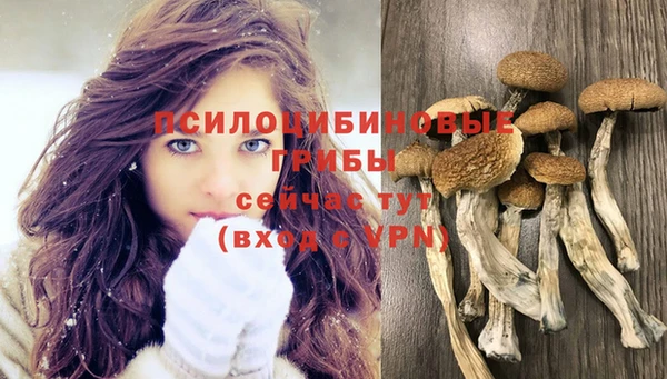 хмурый Алексин
