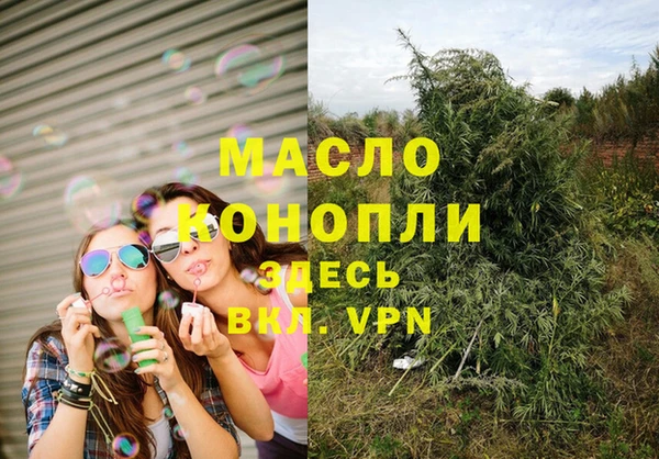 сатива Алексеевка
