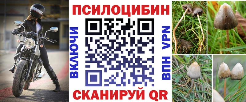 Псилоцибиновые грибы Psilocybine cubensis  закладки  даркнет официальный сайт  Калач-на-Дону 